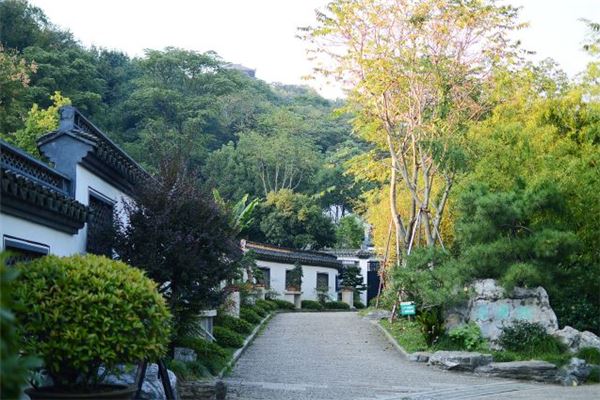 卧龙山(府山公园)
