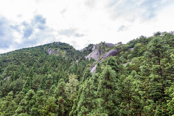 茶山森林公园