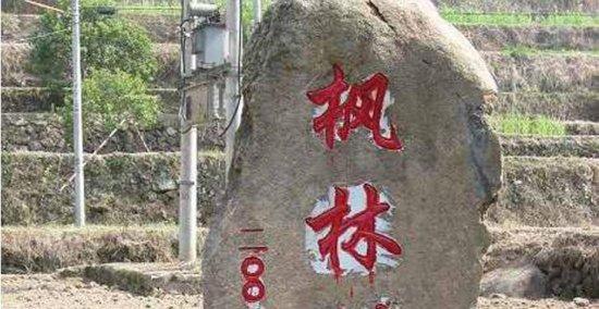 枫林村