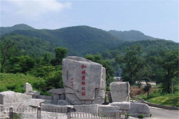 和睦森林公园