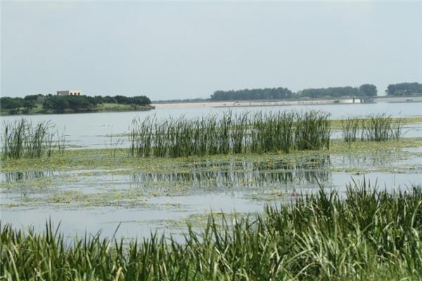 泡子沿