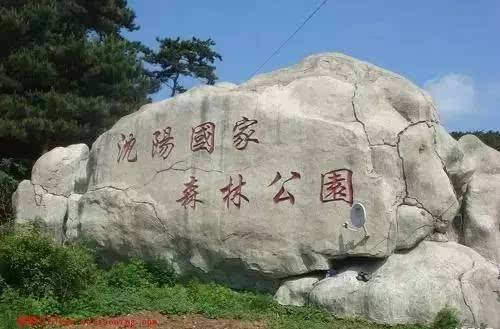 新民森林公园