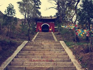 龙泉寺石狮