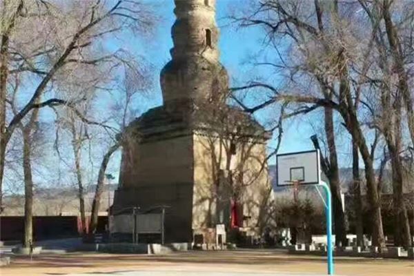 地下森林