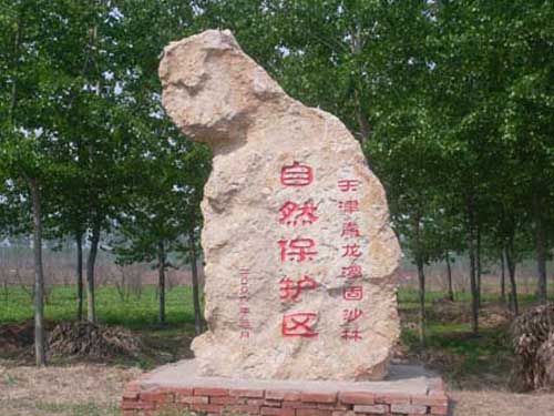 石场观林