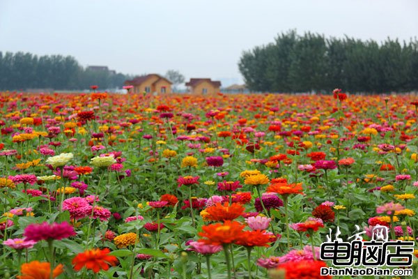 钟粹宫