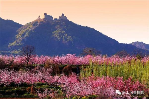 桃花山庄