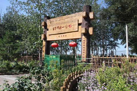 东小河屯村