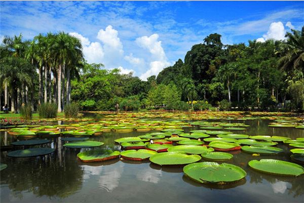 热带植物园