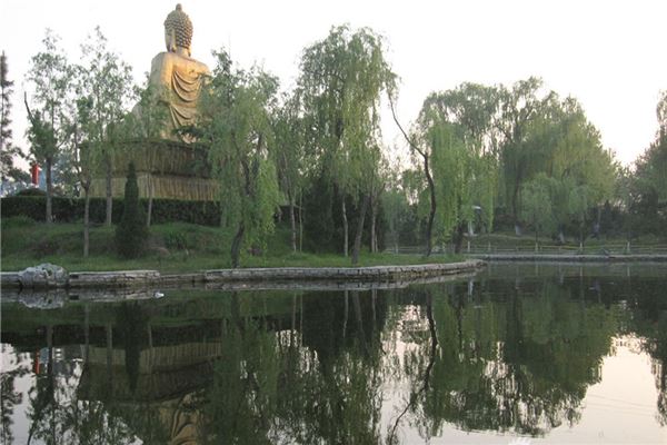 潍坊金宝乐园