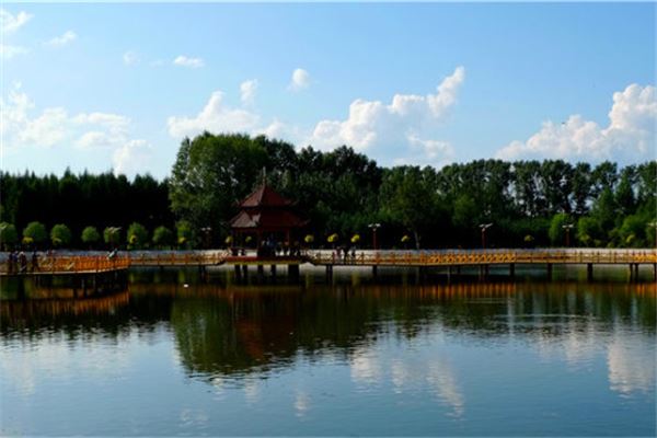 红豆杉景区