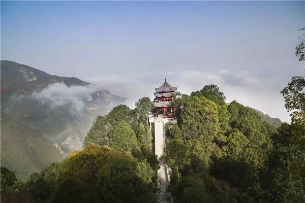 午子山