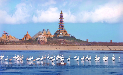 东营天鹅湖