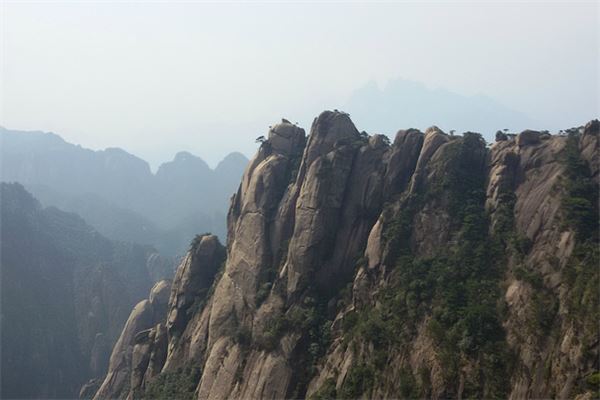 西海岸