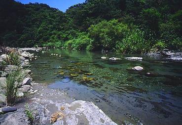 武荖坑风景区