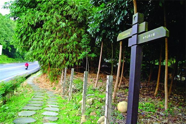 田中森林公园