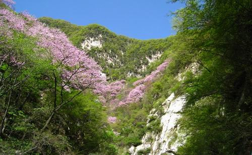 西寺沟