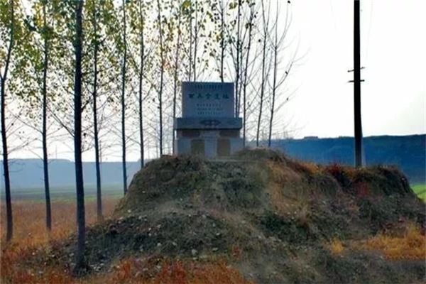 寺洼遗址
