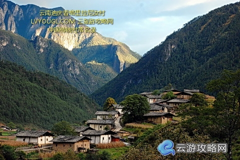 尼汝