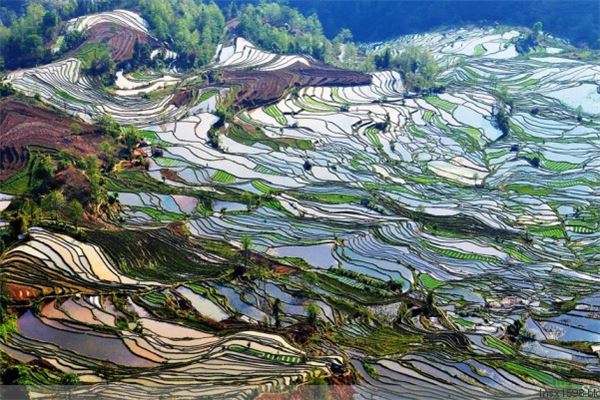 元阳梯田