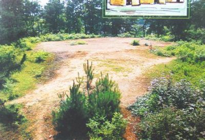 界埠粮仓遗址