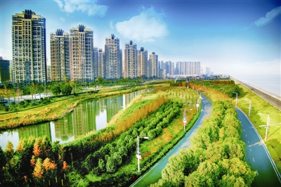 沿江湿地