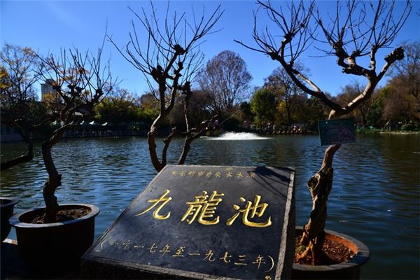 玉溪九龙池公园