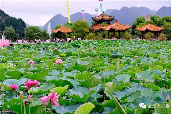 安龙招堤