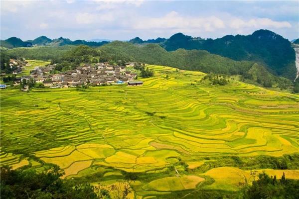 千亩梯田风光
