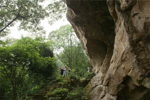 犀牛山生态园