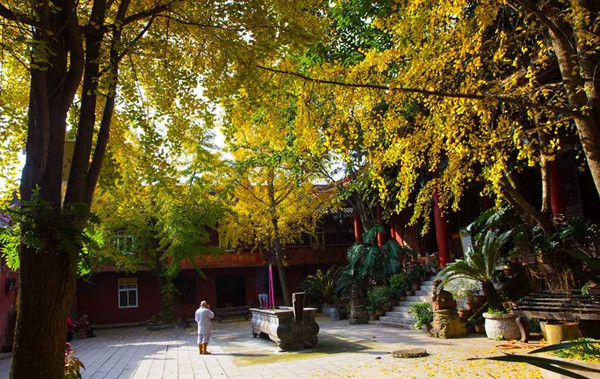 仁寿县华严寺