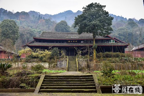 中峰寺