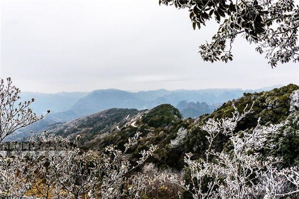 岑王老山