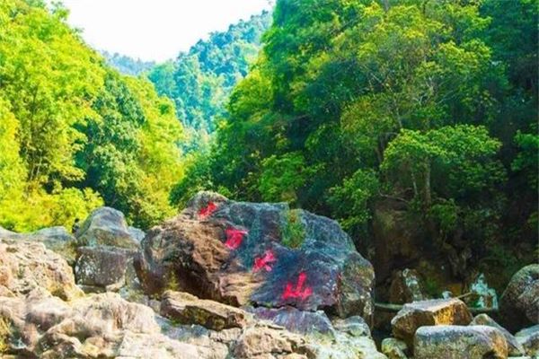 十万大山