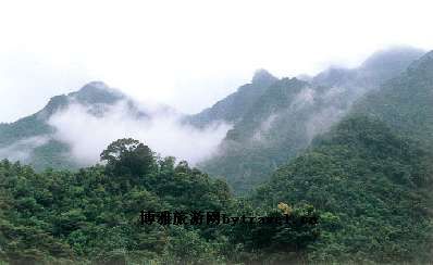 桂峰山