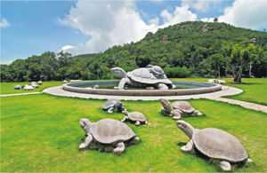 龟埕景区