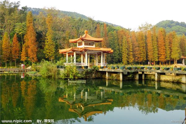 仙游植物园