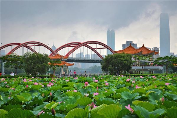 洪湖公园