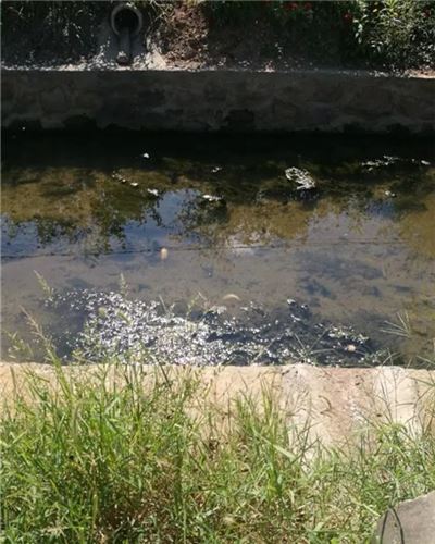 泉水湖