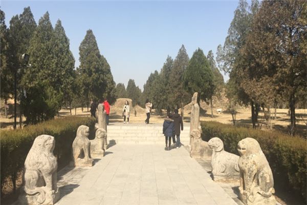 司马光墓