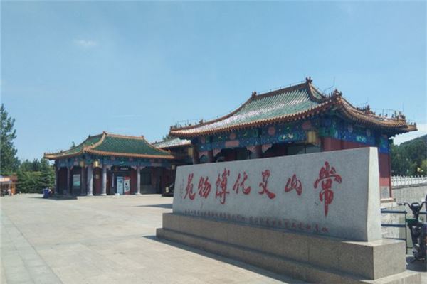 诸城常山