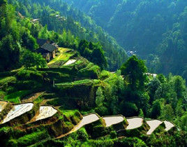 井冈山鹅岭(鹅山)