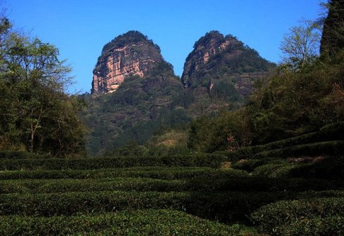 并莲峰