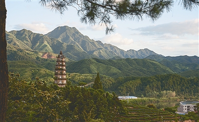 湛卢山狮子岩