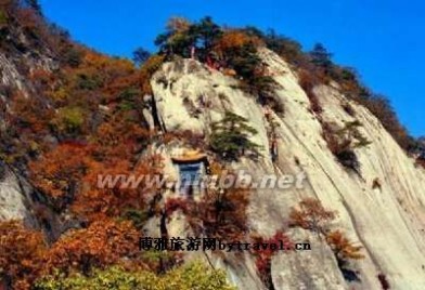 凤凰山荔海