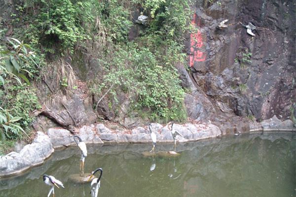 漳州鹅仙洞