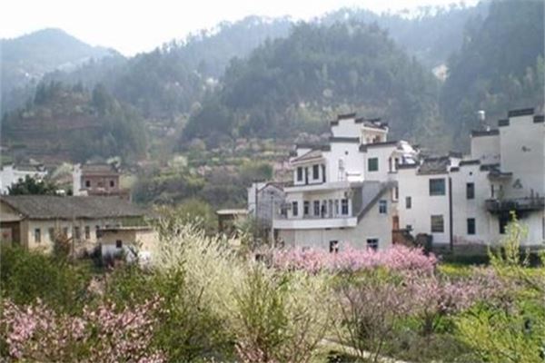 上丰花果山村落