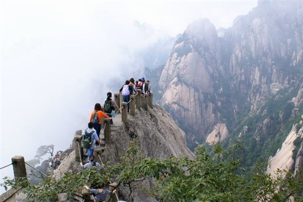 鲫鱼背
