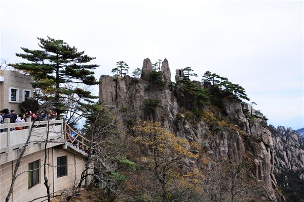 白鹅岭