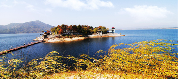情人岛